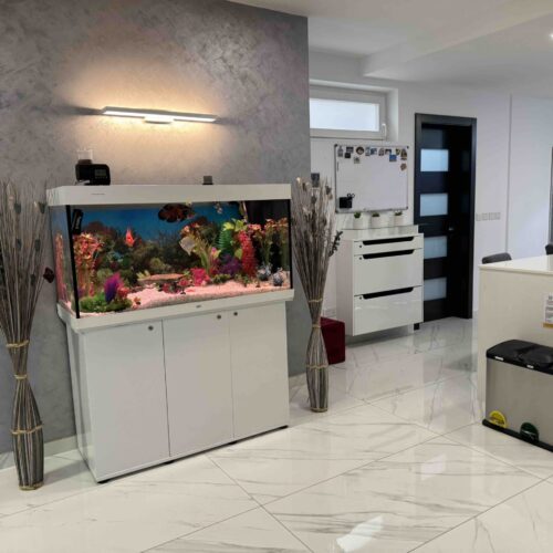 Aquarium